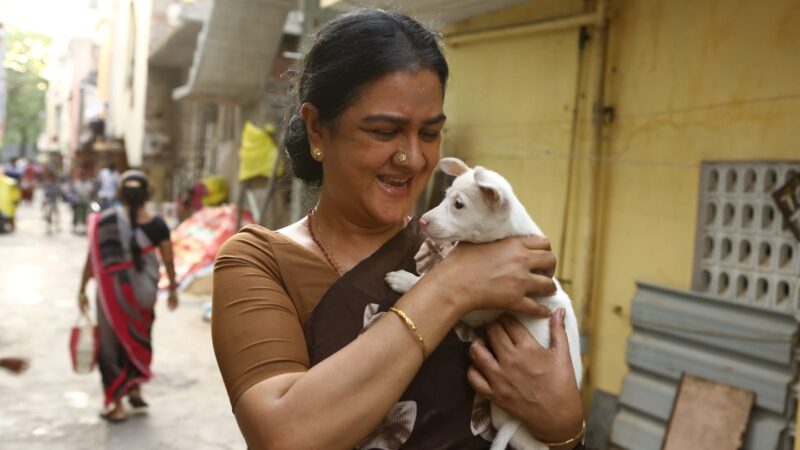 Produced by Pa. Ranjith, J Baby is releasing on Women’s Day | Orvasi | Dinesh